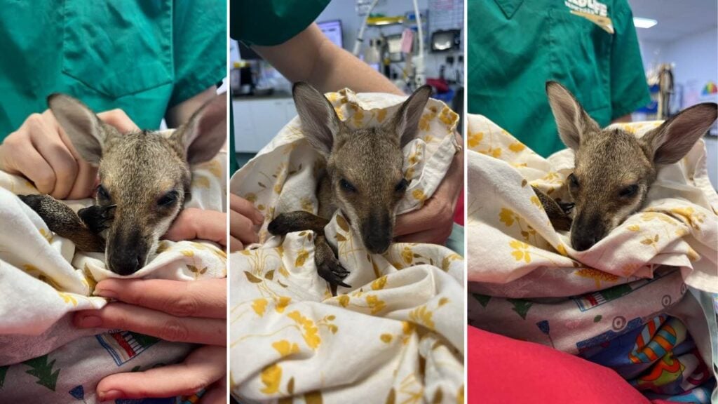 photo banner-optimized